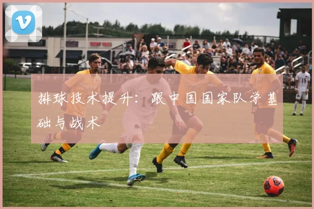 排球技术提升：跟中国国家队学基础与战术